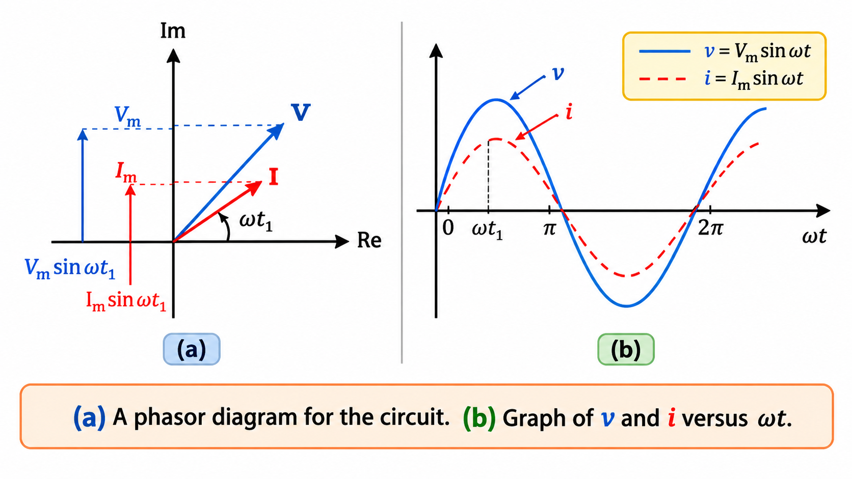Phasor Diagram and AC Waveforms for Pure Resistor